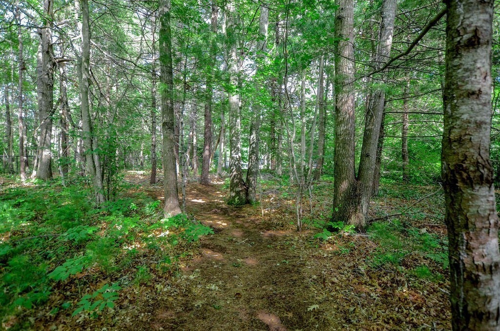 352 Marion Road, Wareham, MA, 352 Marion Road, Wareham, MA Photo #28
