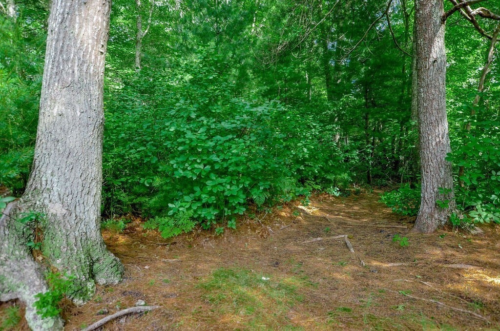 352 Marion Road, Wareham, MA, 352 Marion Road, Wareham, MA Photo #27