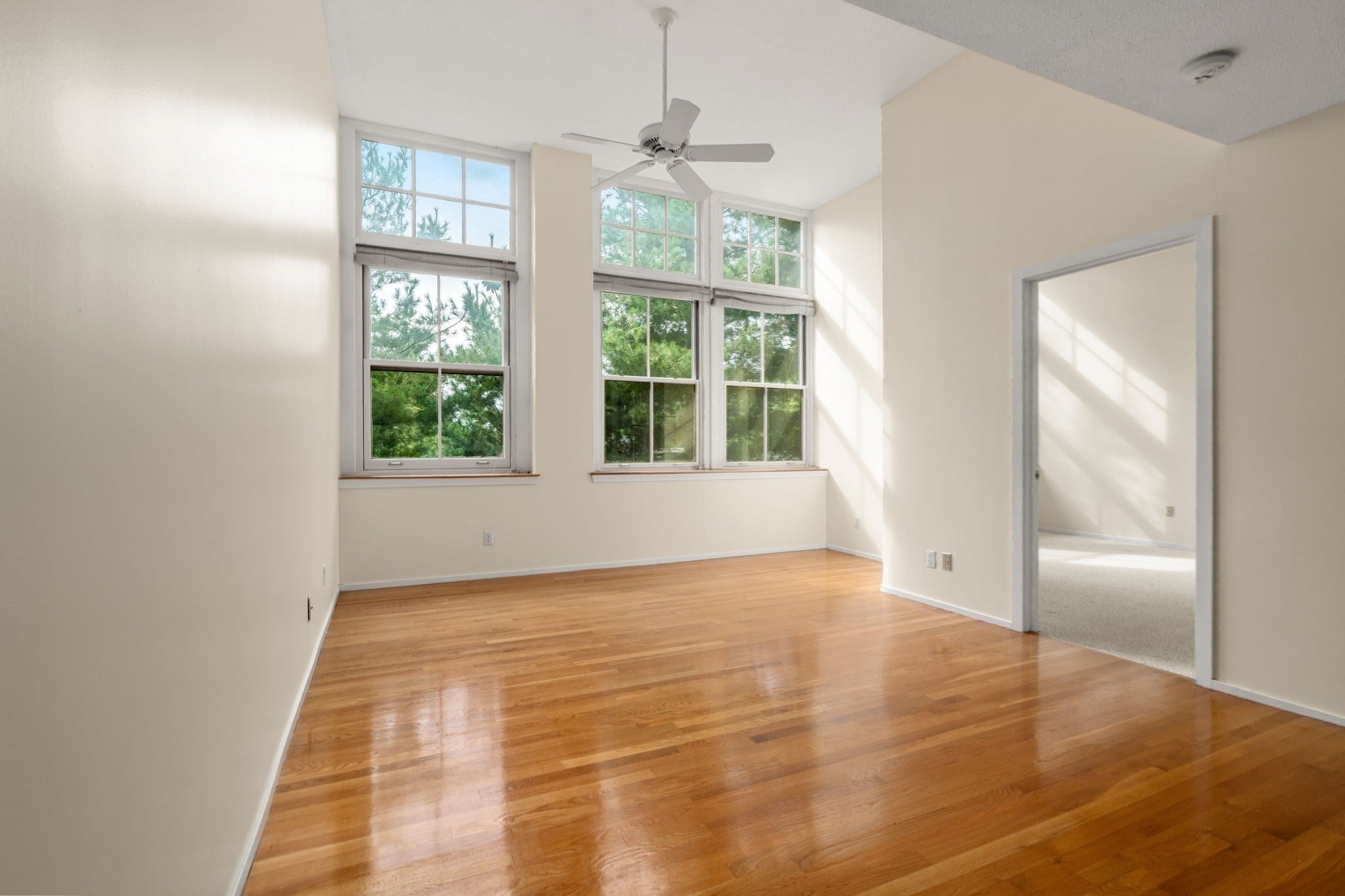51 Pettee ST #34, Newton, MA, 51 Pettee ST #34, Newton, MA Photo #6