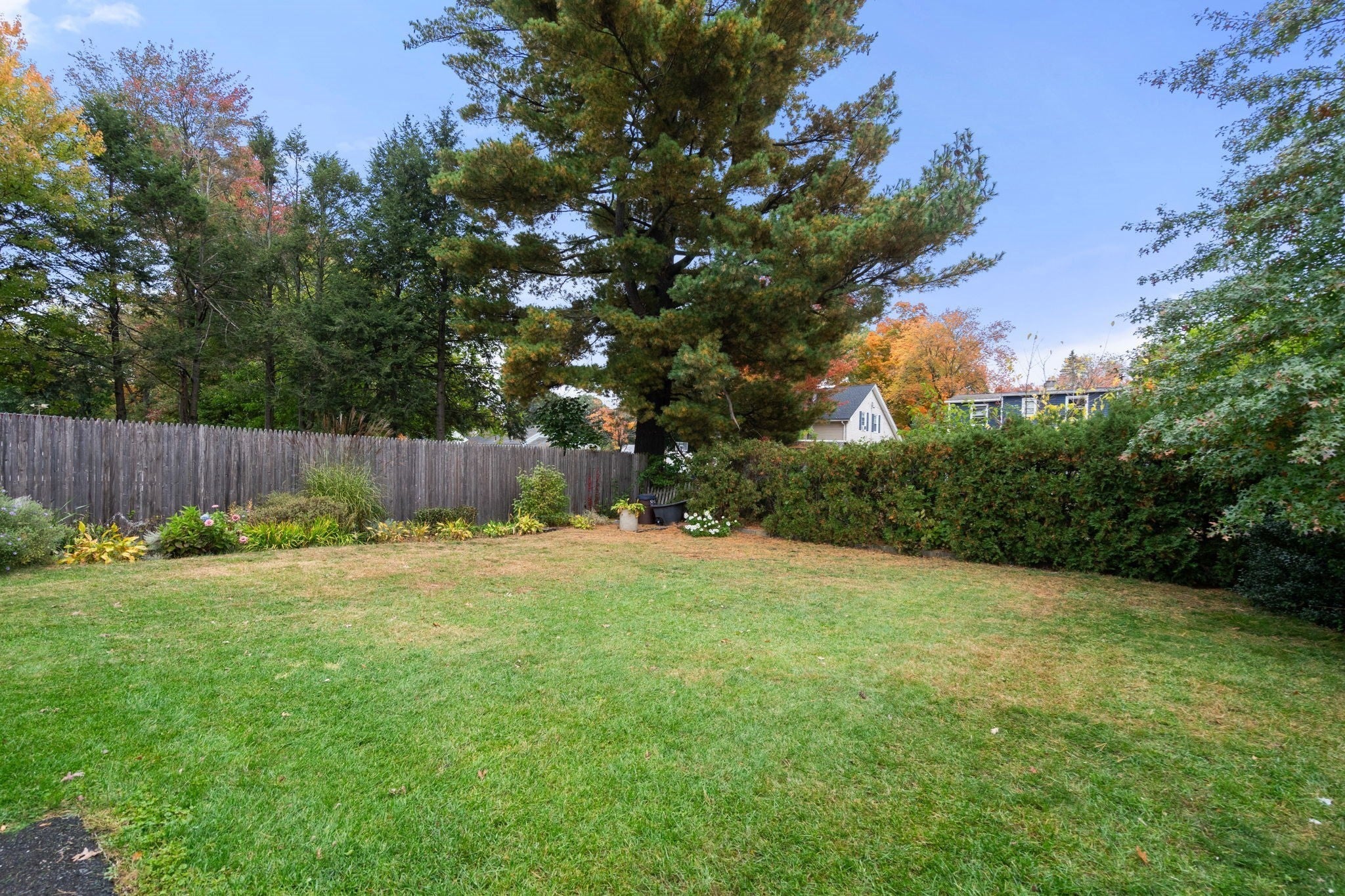 89 Eddy St, Springfield, MA, 89 Eddy St, Springfield, MA Photo #37