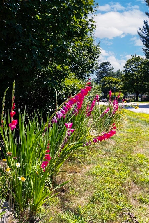 52 Lovering Street, Medway, MA, 52 Lovering Street, Medway, MA Photo #8