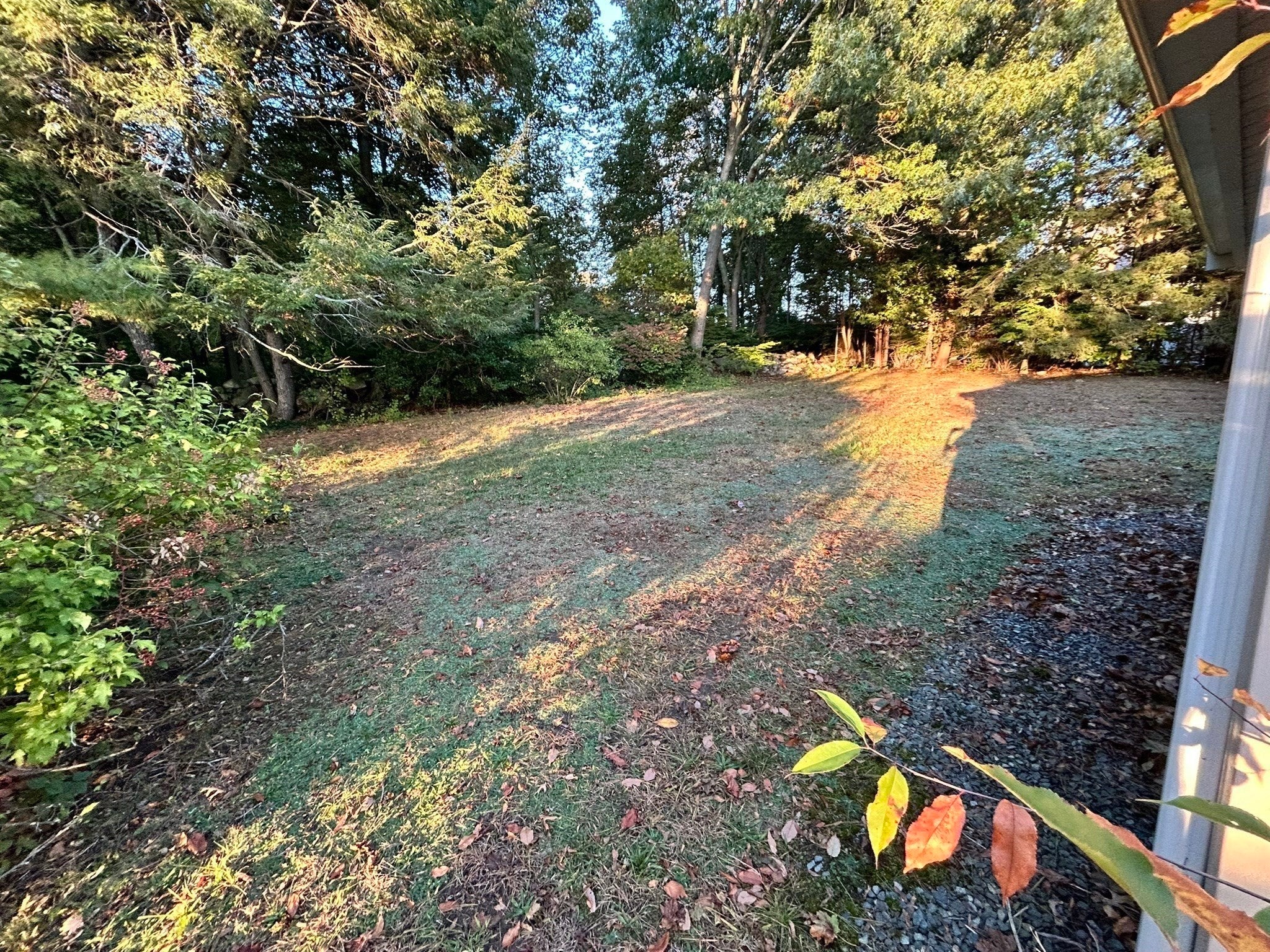 11 Sunflower Rd, Holbrook, MA, 11 Sunflower Rd, Holbrook, MA Photo #21
