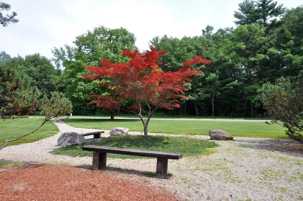296 Brown Bear Crossing #296, Acton, MA, 296 Brown Bear Crossing #296, Acton, MA Photo #38
