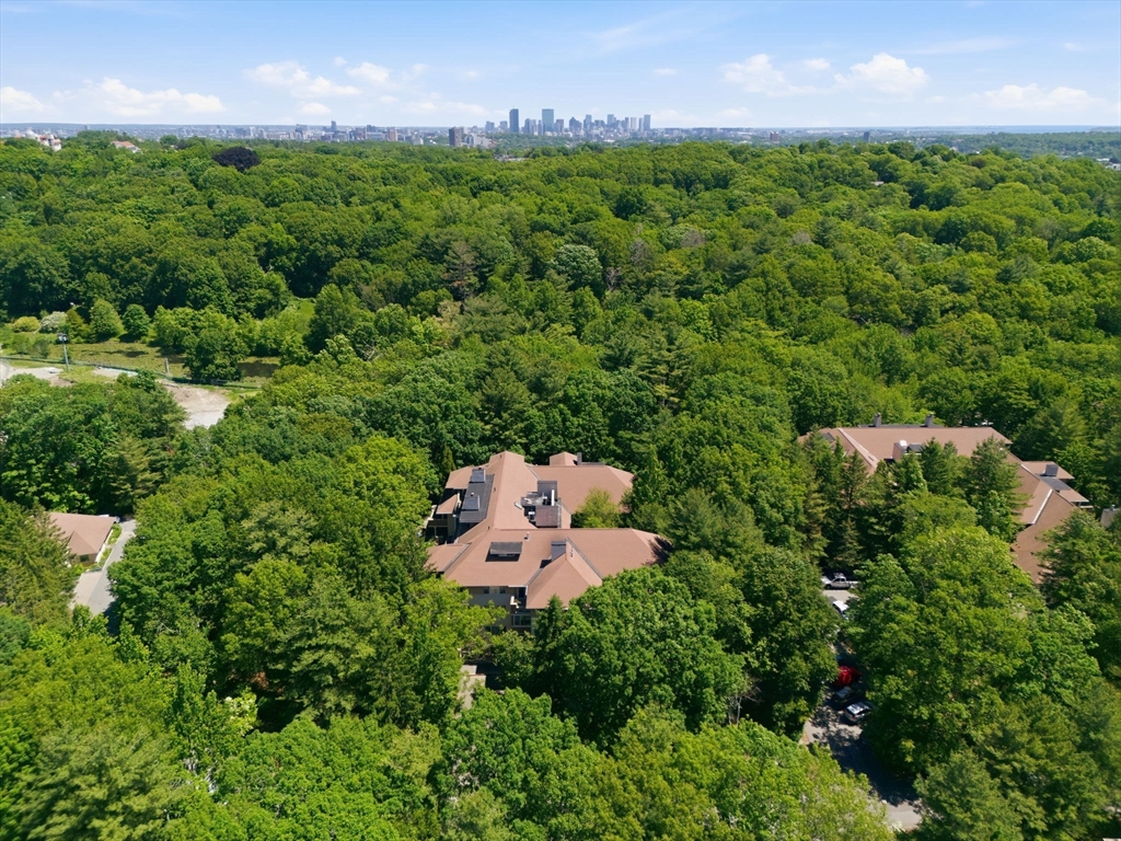 232 Allandale Rd 3A
