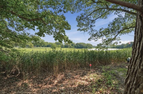 Photo of 4 Point St, Freetown, MA 02702 (MLS # 73563756)