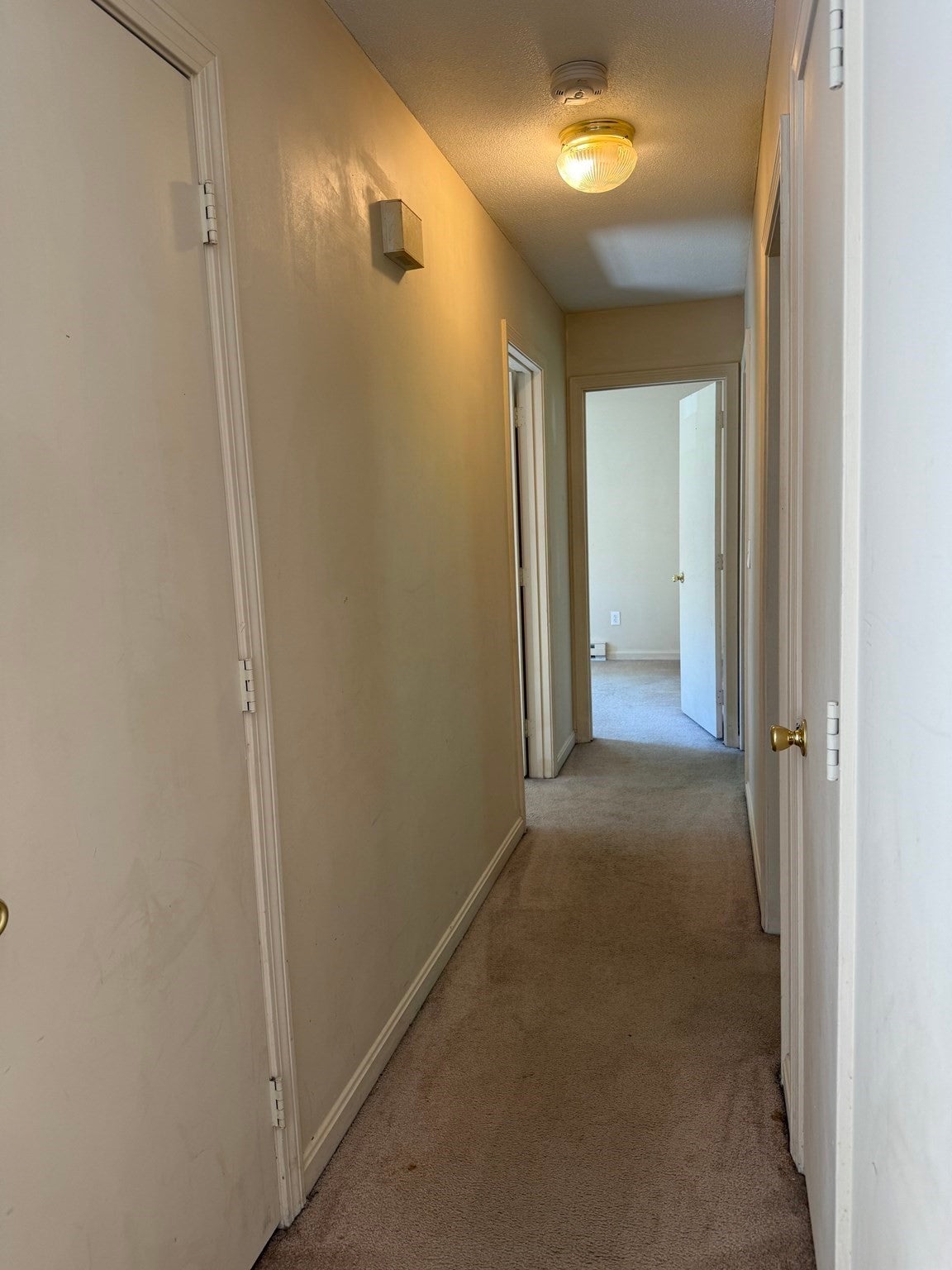 5 Edge Hill Rd, Amherst, MA Photo #7