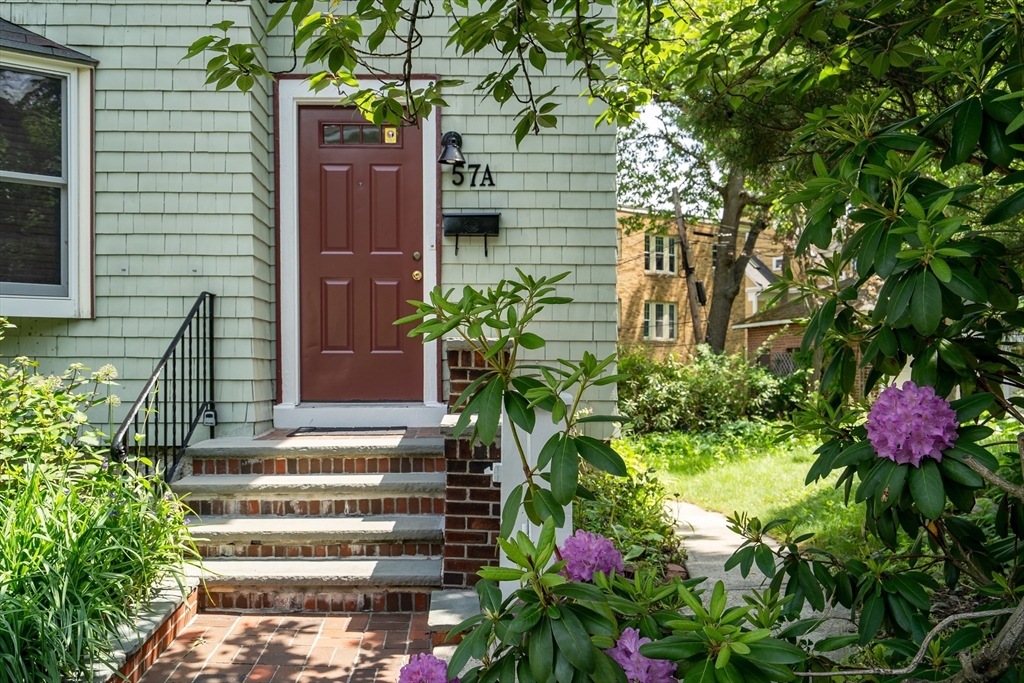 57A Robinwood 2