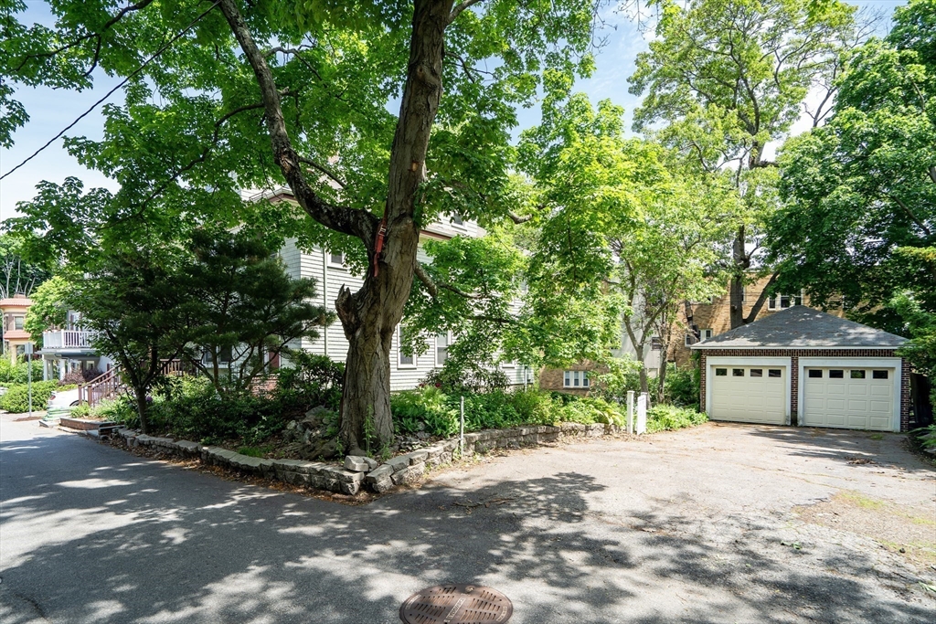 57A Robinwood 2