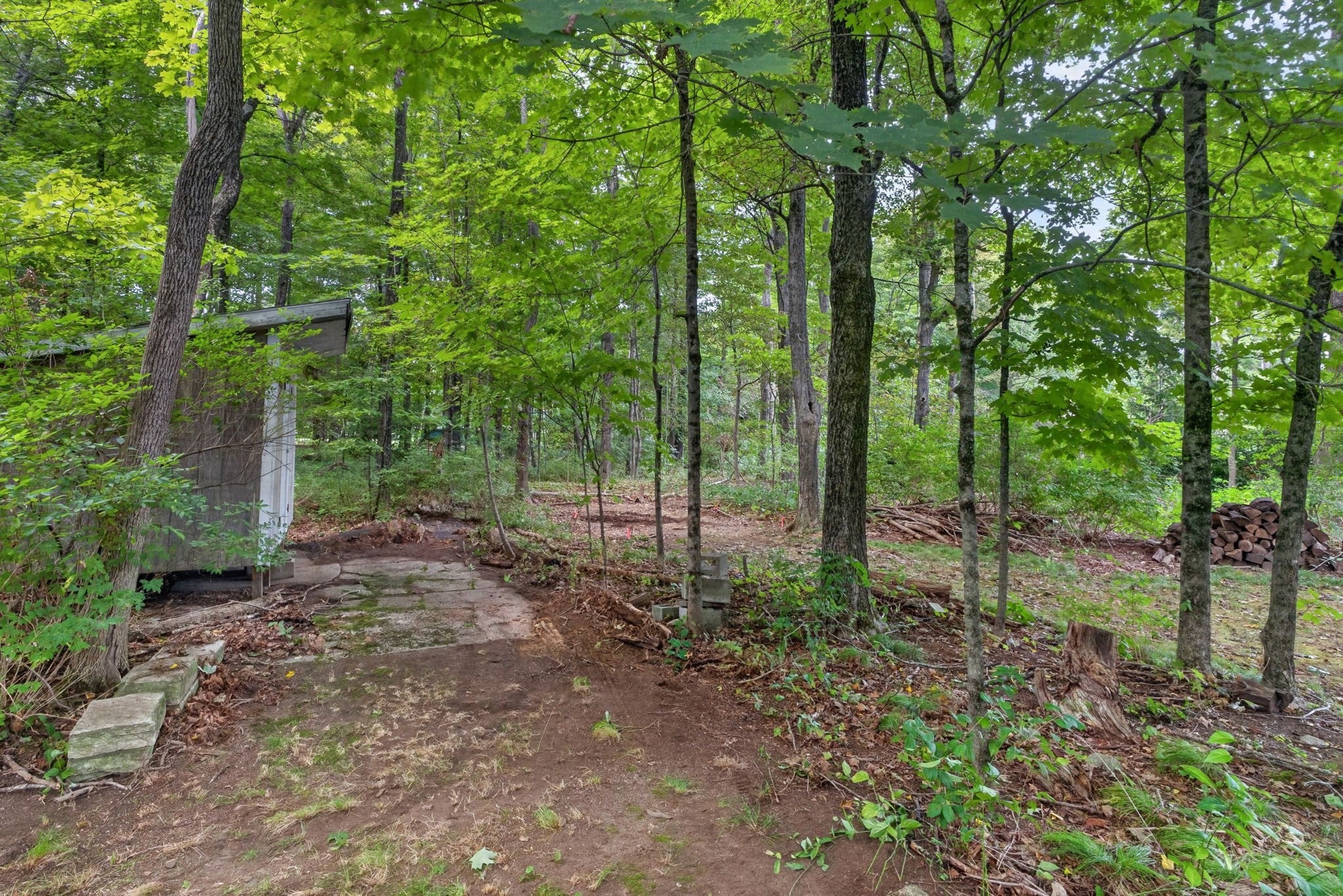 5 Robert Sproul Rd, Medfield, MA, 5 Robert Sproul Rd, Medfield, MA Photo #31