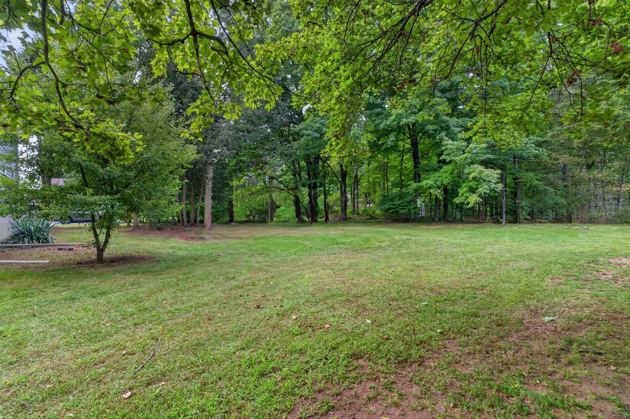 5 Robert Sproul Rd, Medfield, MA, 5 Robert Sproul Rd, Medfield, MA Photo #30