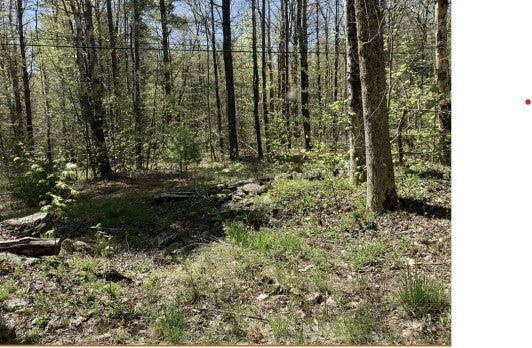 0 Burt Hill Rd Parcel 19
