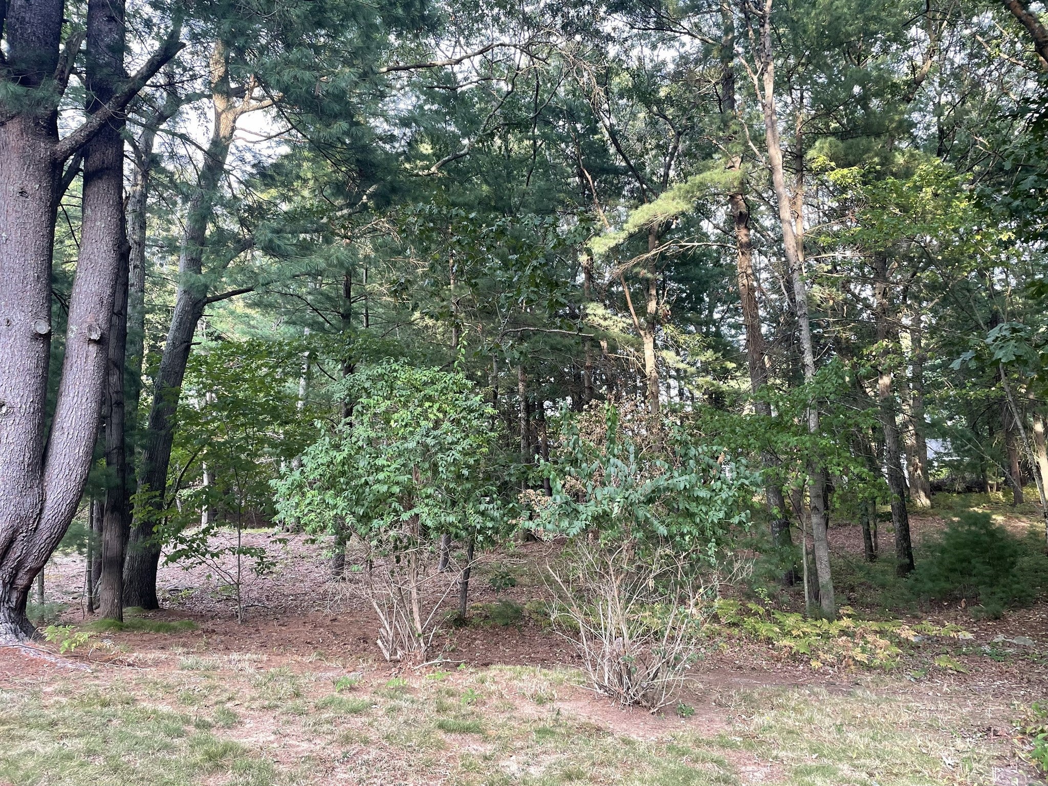 12 Hampton Road, Sharon, MA, 12 Hampton Road, Sharon, MA Photo #18