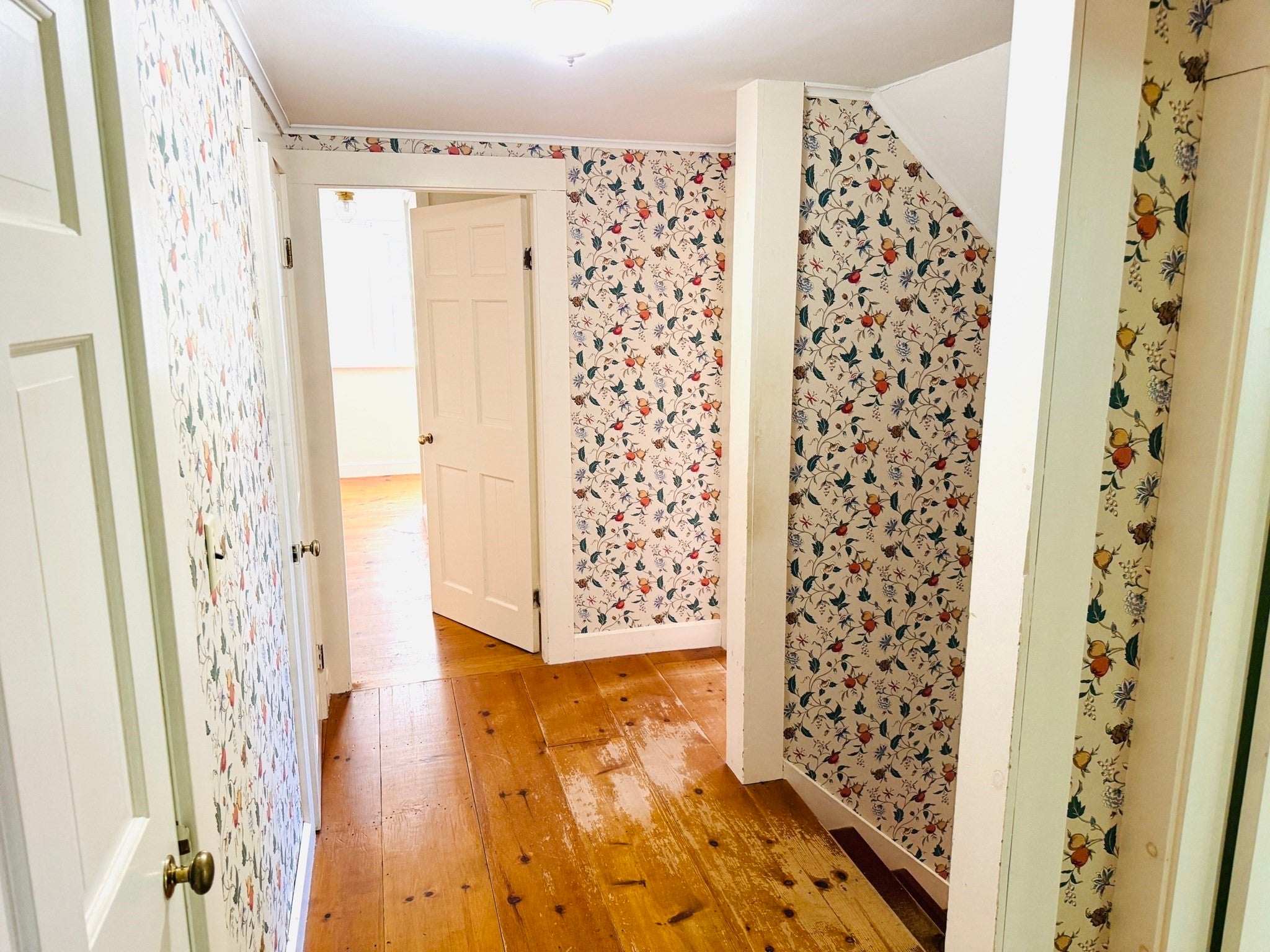 1344 Barre Rd, New Braintree, MA Photo #36