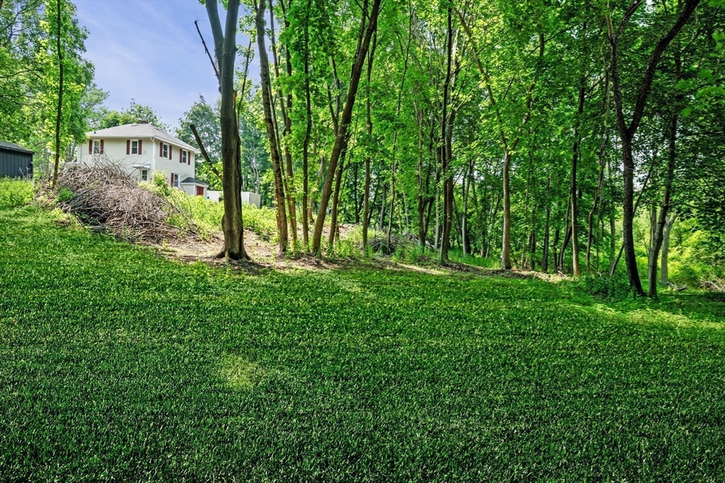 123 Forest St