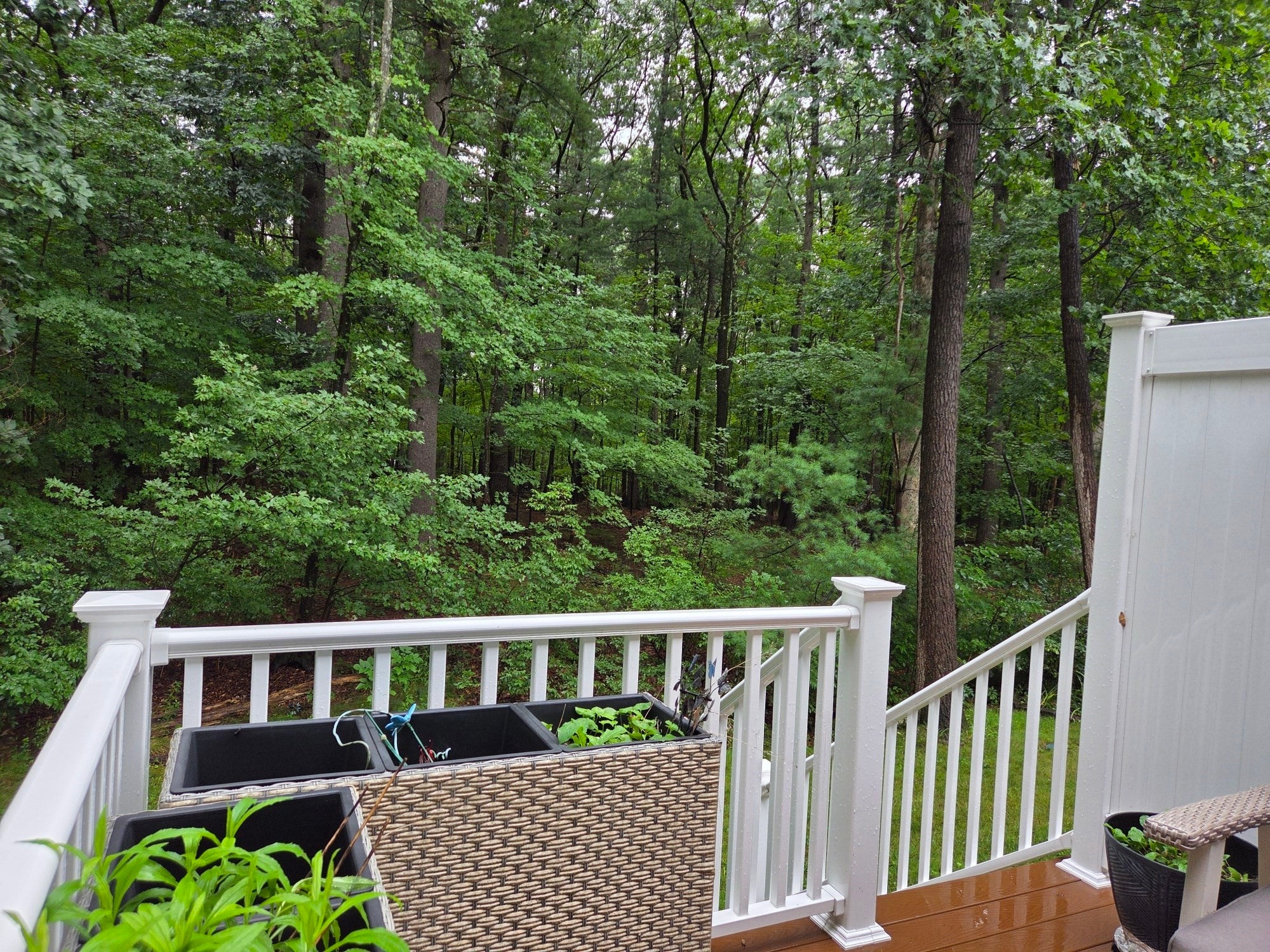 658 Massachusetts Ave #3, Lunenburg, MA Photo #38