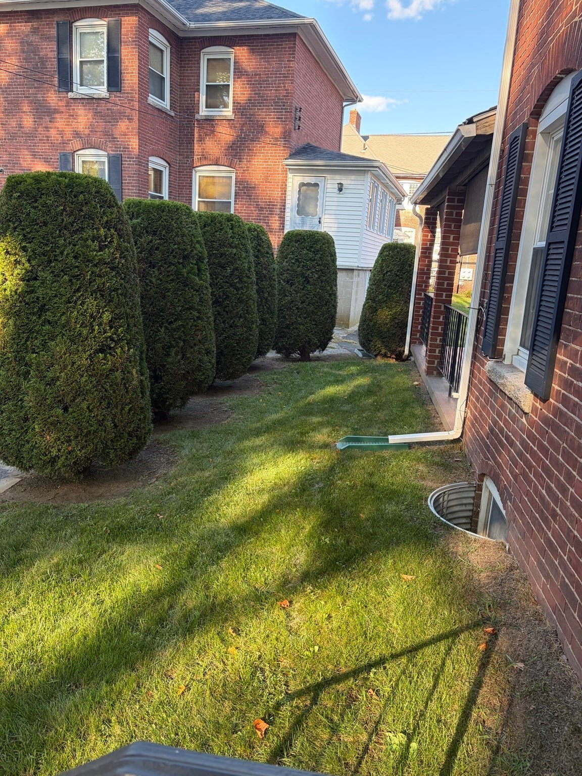 3 Prospect Heights 3