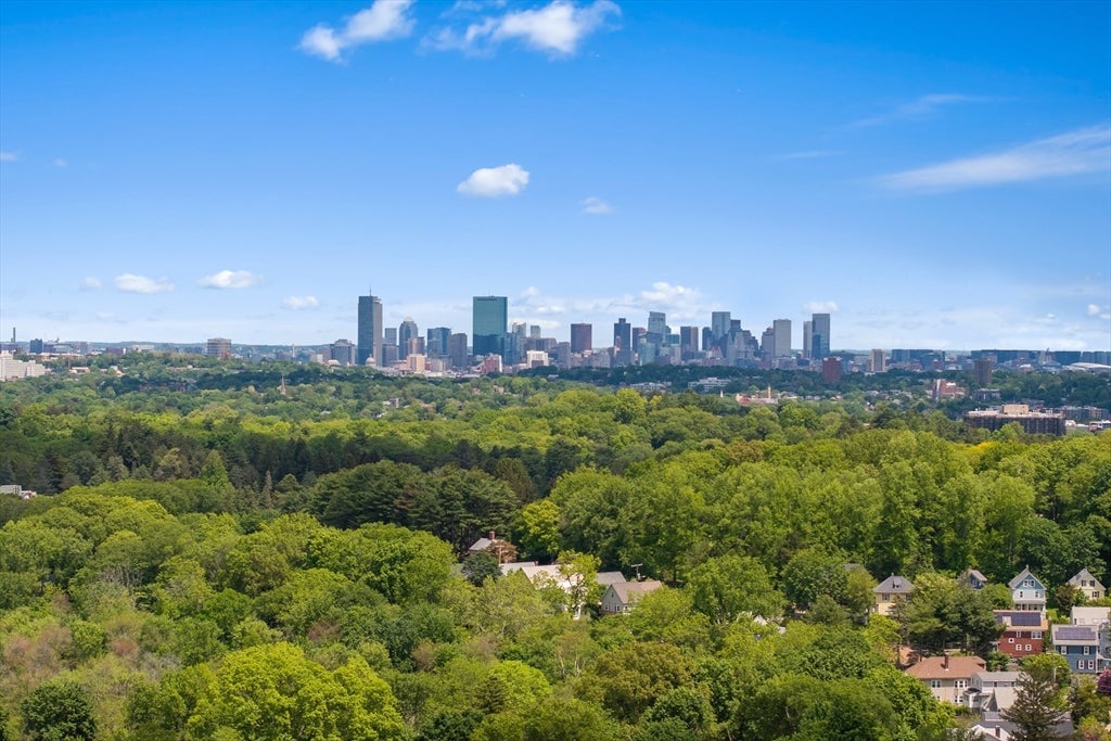 10-12 Taft Hill Park #1, Boston, MA, 10-12 Taft Hill Park #1, Boston, MA Photo #28