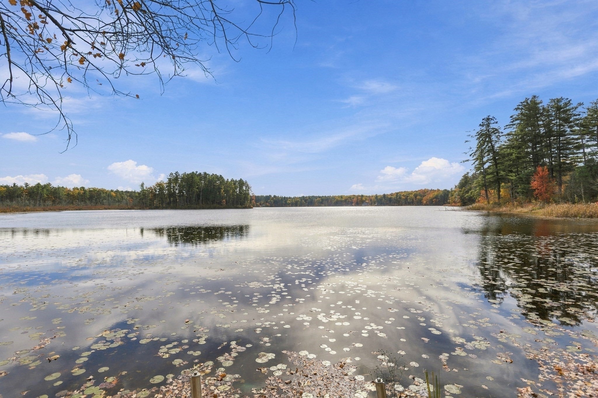 716 Martins Pond Rd