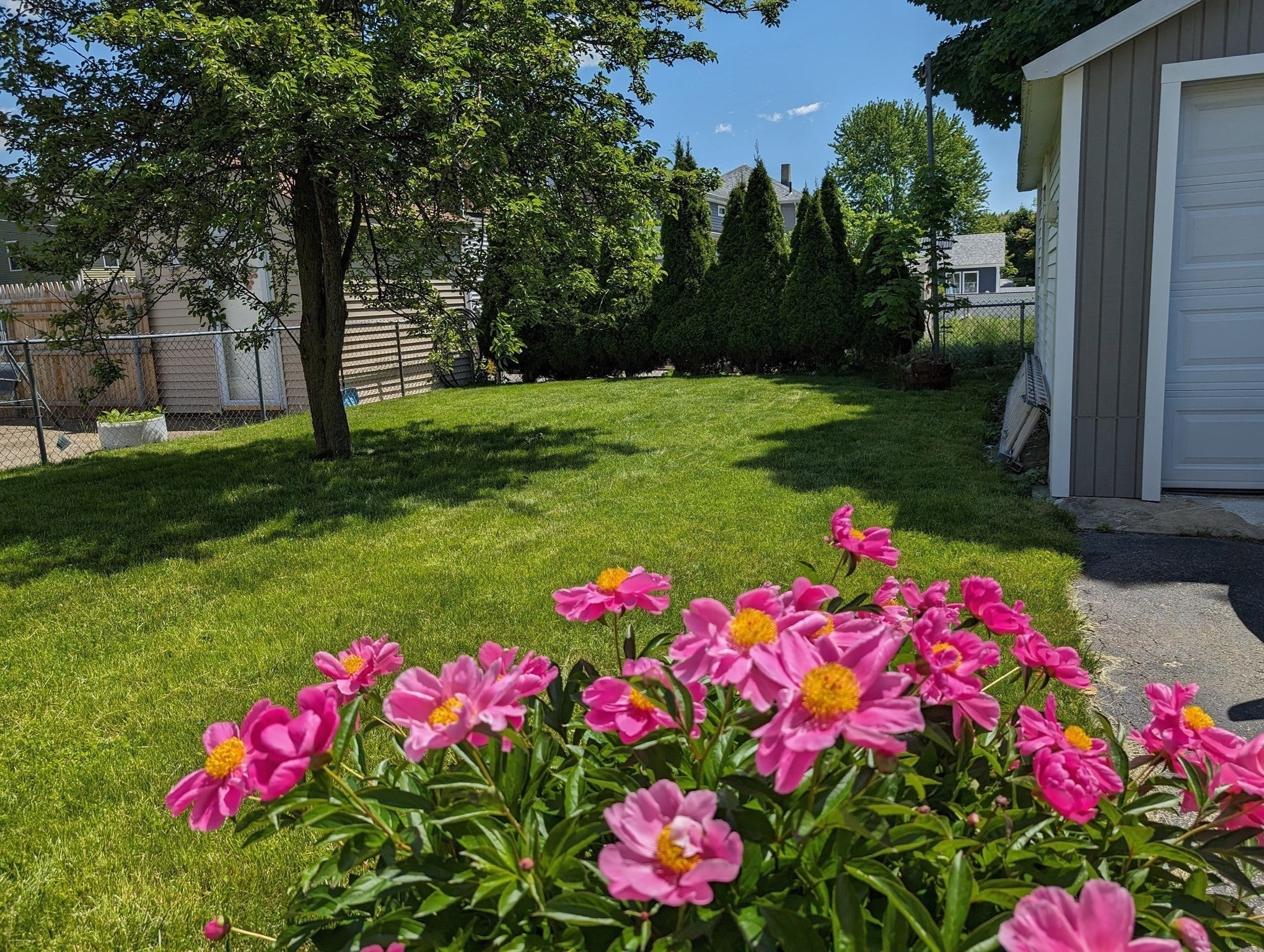 25 Spring St, Medford, MA Photo #27