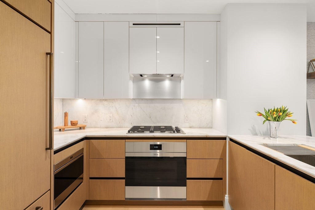 380 Harrison Ave Penthouse2M, Boston, MA, 380 Harrison Ave Penthouse2M, Boston, MA Photo #8