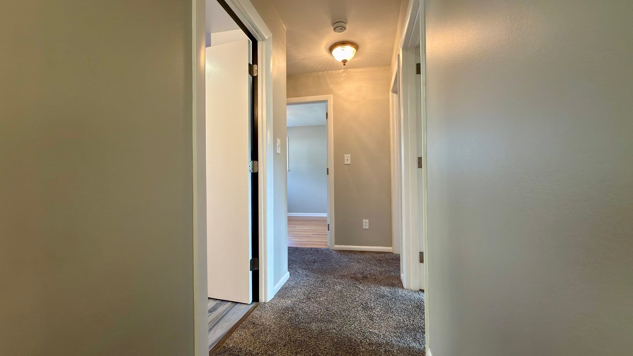 17 Lawn Ave, Lowell, MA, 17 Lawn Ave, Lowell, MA Photo #19