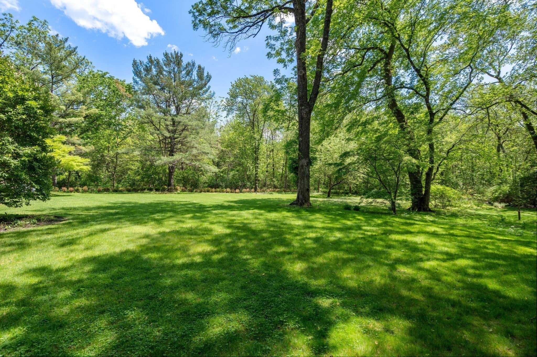 90 Suffolk Rd, Newton, MA Photo #17