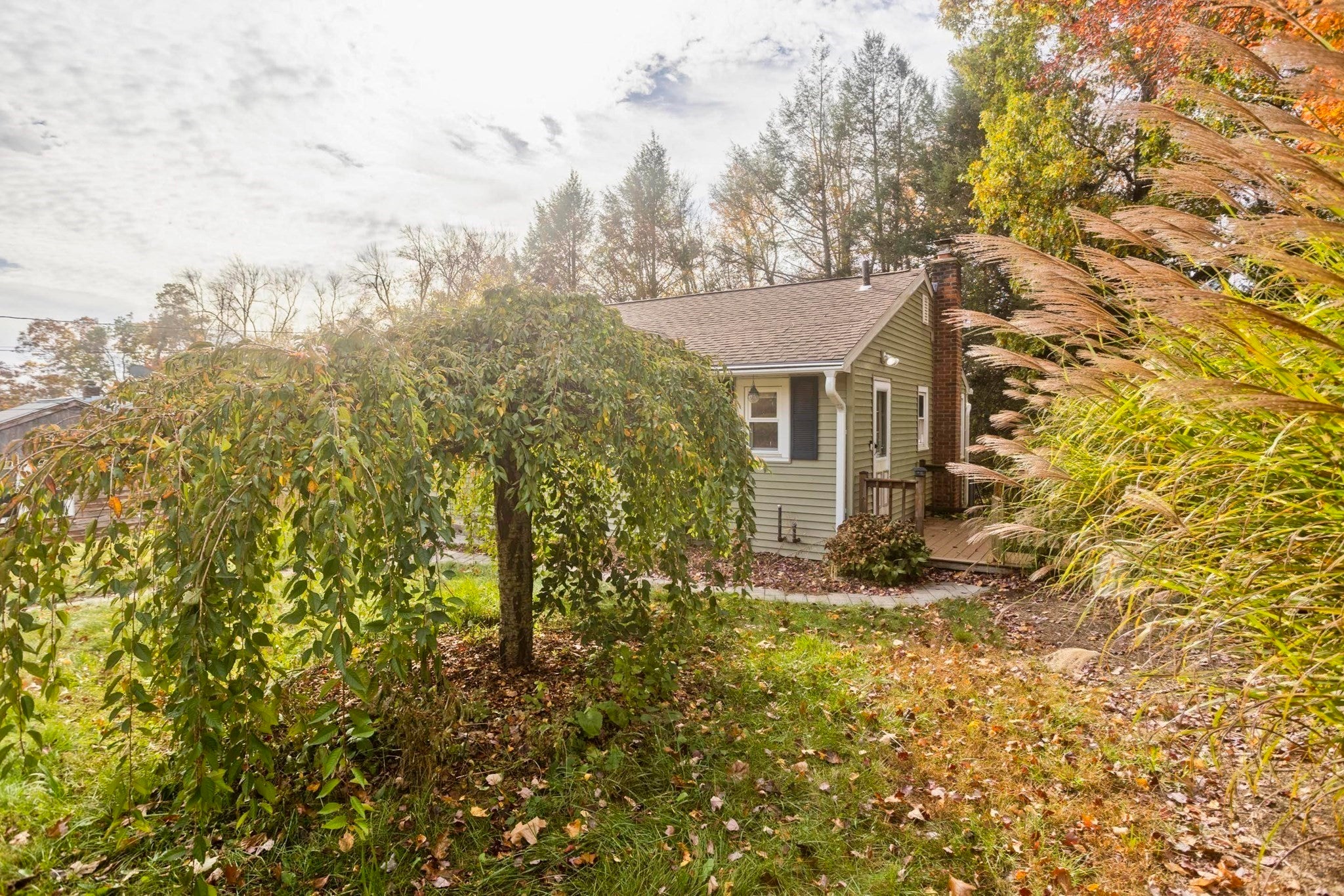 34 Geraldine St