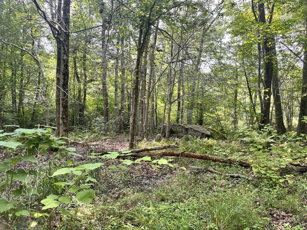86 Colebrook Rd