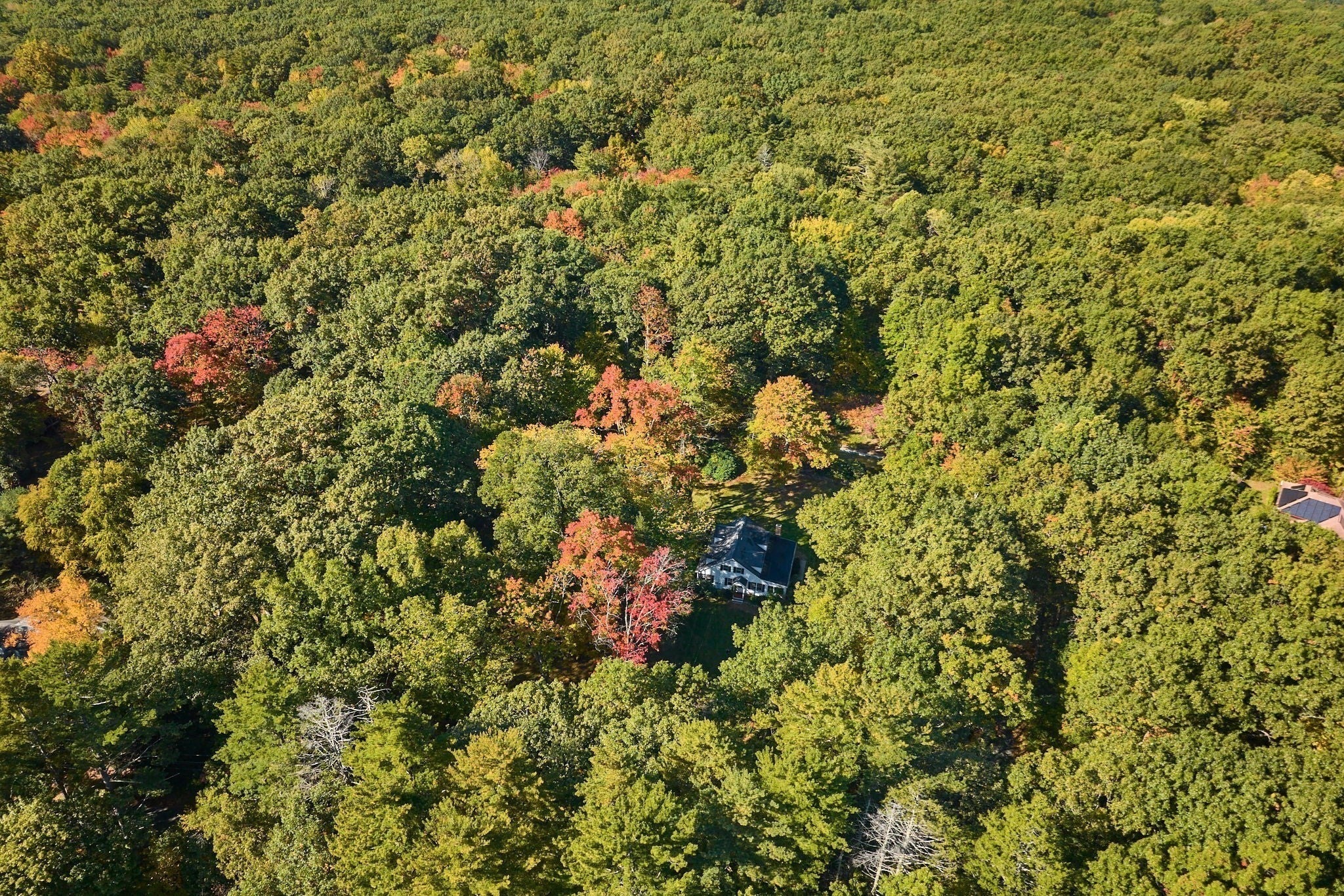 68 Coles Meadow Rd, Northampton, MA, 68 Coles Meadow Rd, Northampton, MA Photo #40