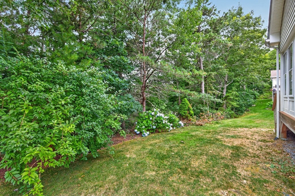 7 White Trellis, Plymouth, MA Photo #33