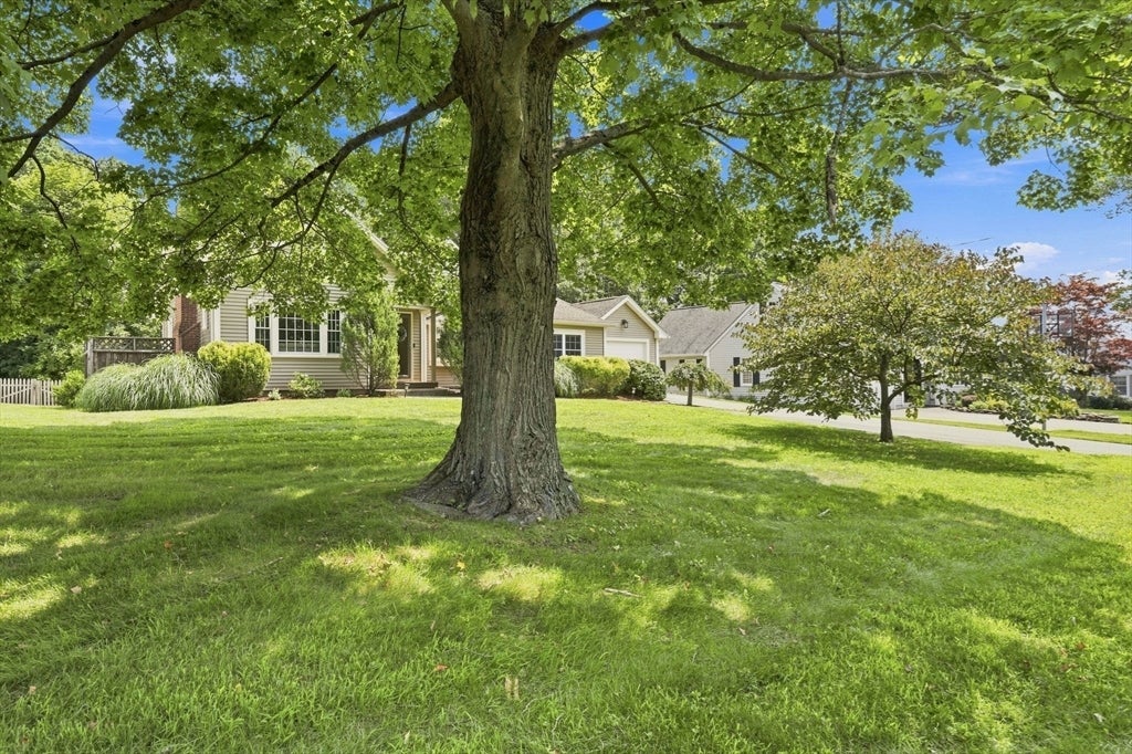 17 Savoy Ave, East Longmeadow, MA Photo #4