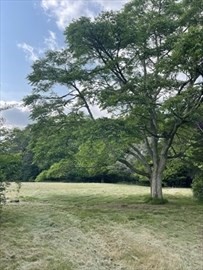 349 Old Fall Rvier Rd,