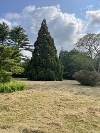 349 Old Fall Rvier Rd,