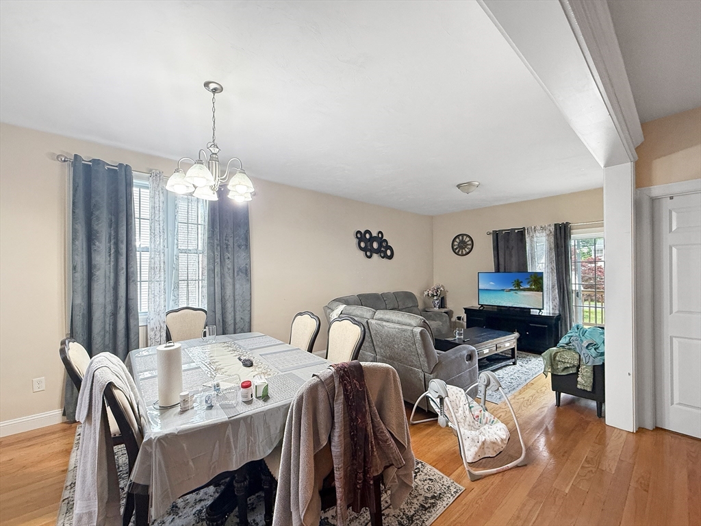 44 Dominion Rd