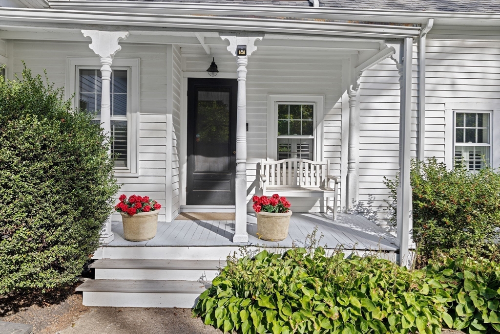 74 Tilden Road