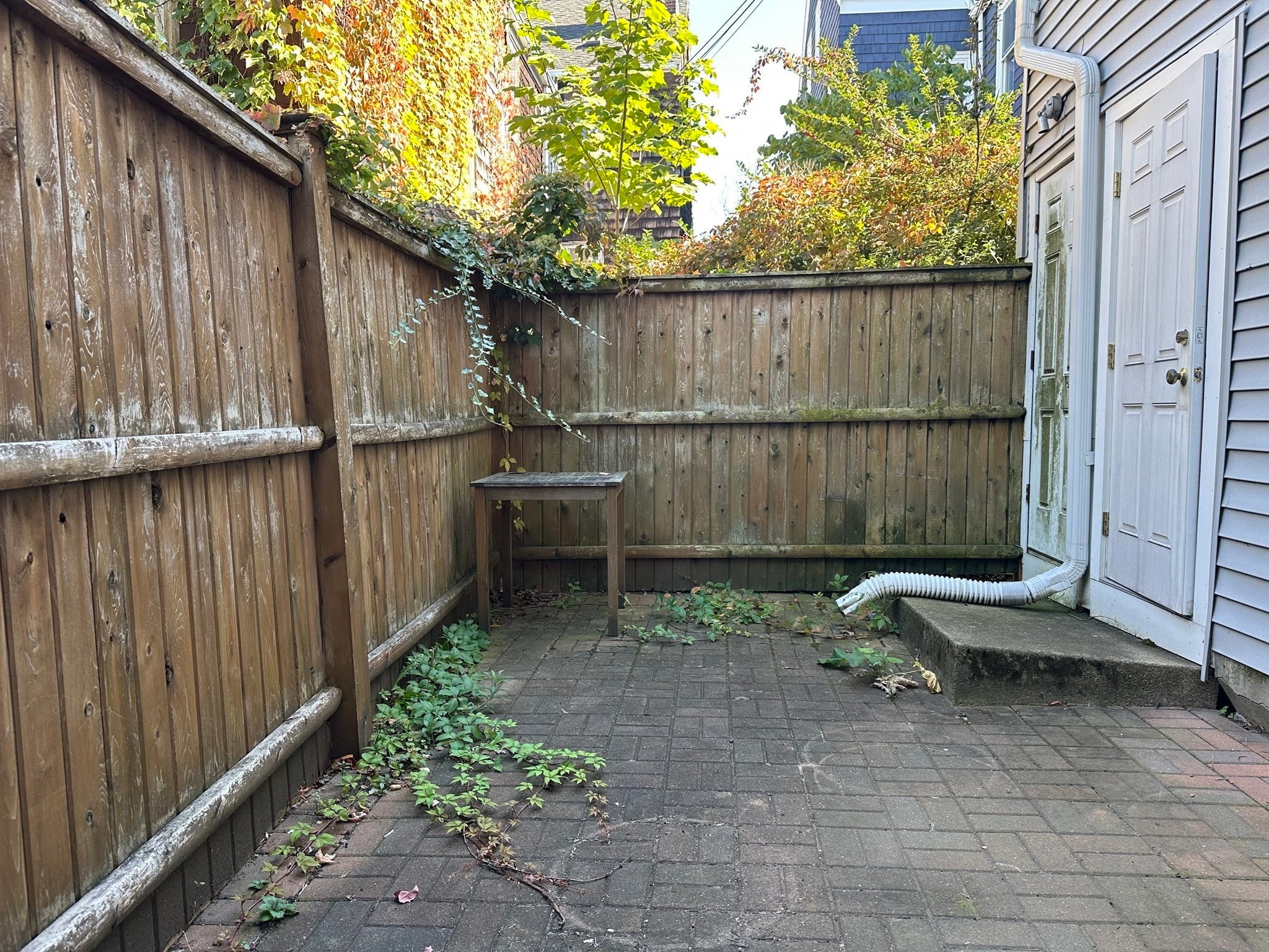 25 Allston St, Boston, MA, 25 Allston St, Boston, MA Photo #7