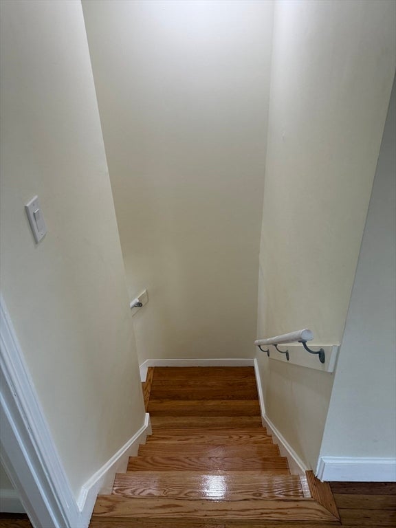 24-26 Silvia Ct #26, Boston, MA, 24-26 Silvia Ct #26, Boston, MA Photo #13
