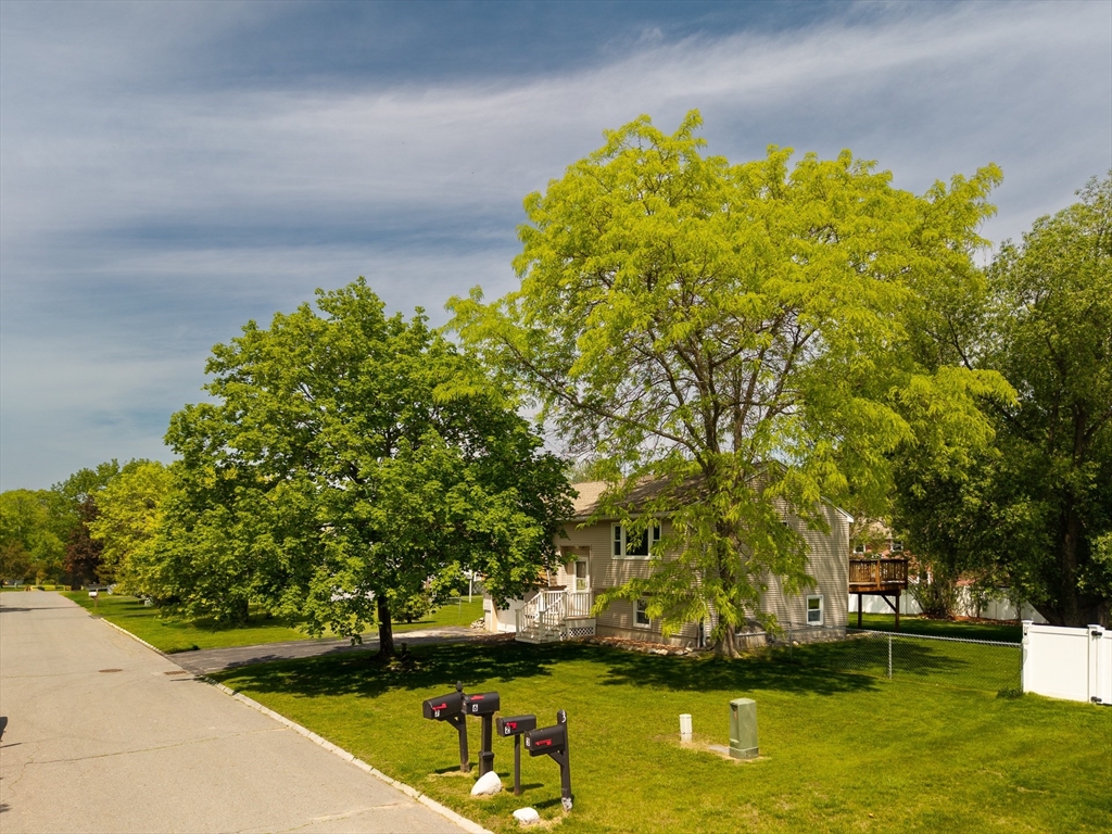 7 Wintergreen Cir