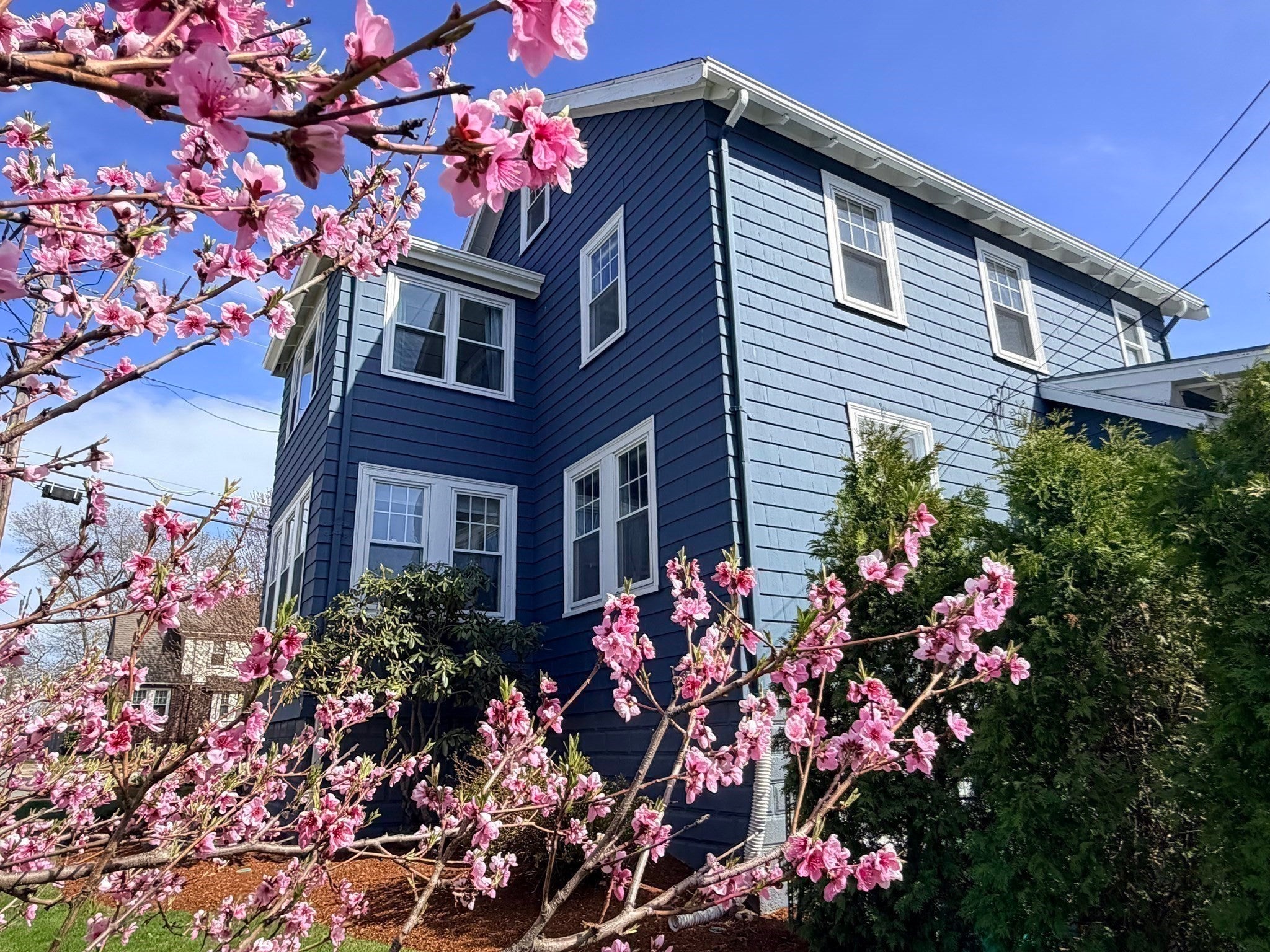 266 Governors Ave, Medford, MA, 266 Governors Ave, Medford, MA Photo #39