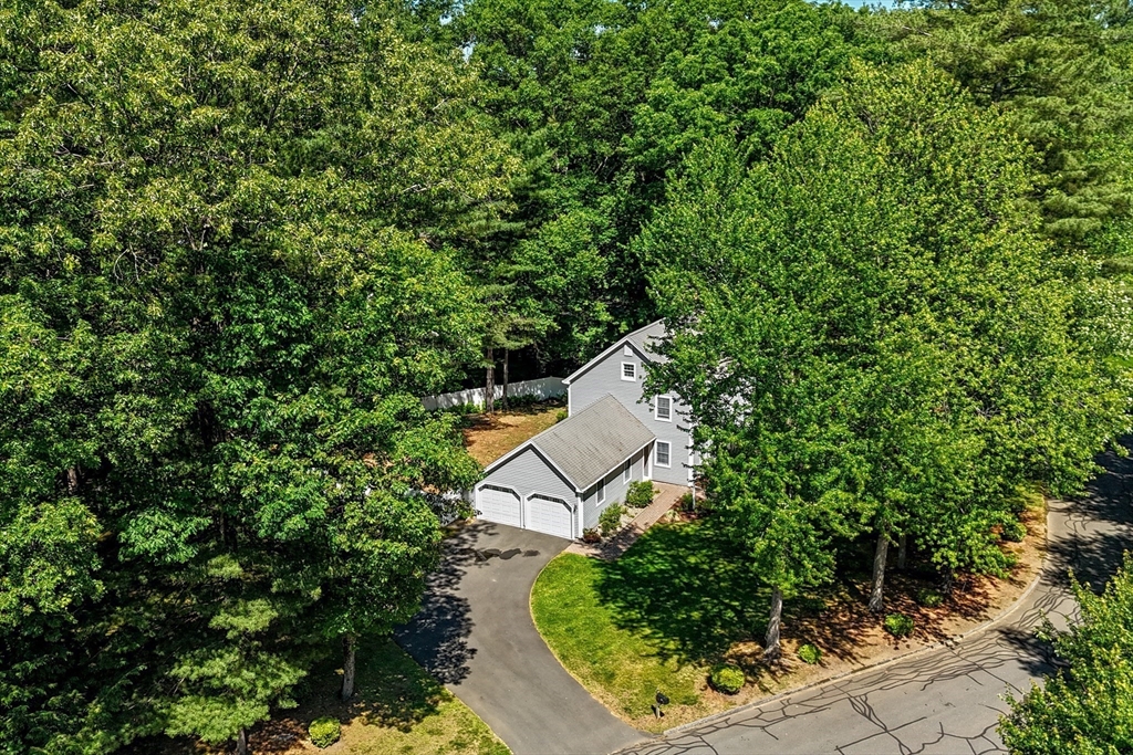 12 Blueberry Bend