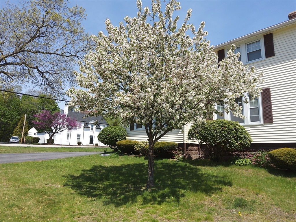 32-34 Elm St, Shrewsbury, MA Photo #6
