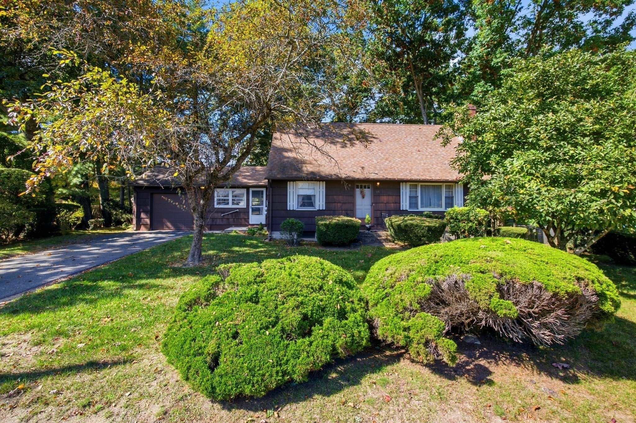 58 Pine Hill Rd, Springfield, MA, 58 Pine Hill Rd, Springfield, MA Photo #35