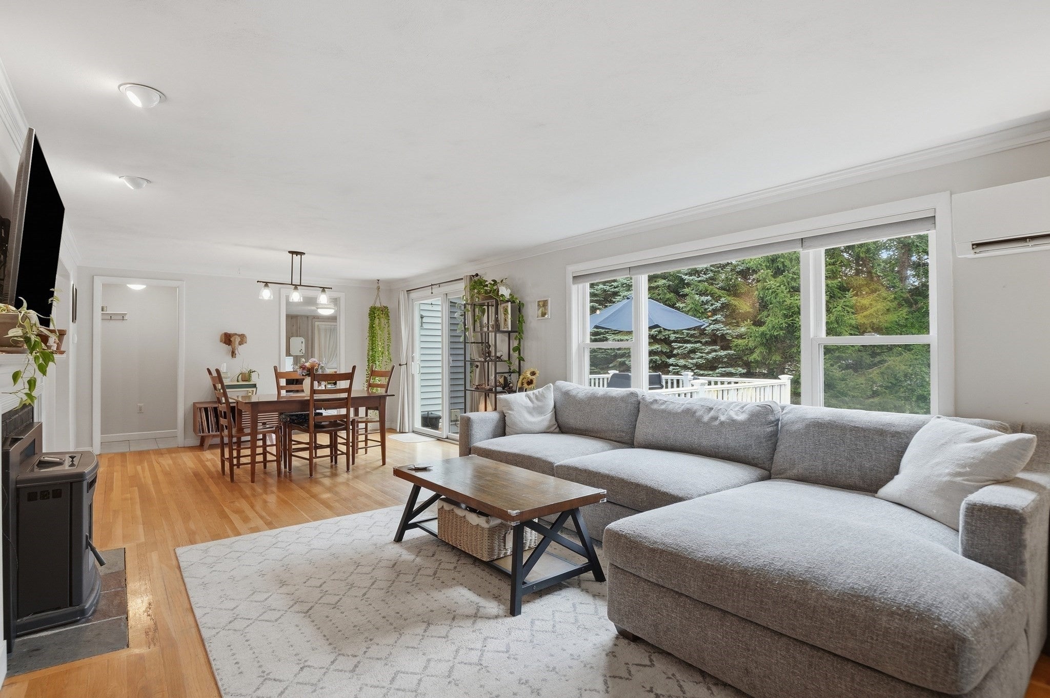 4 Pinewood Drive