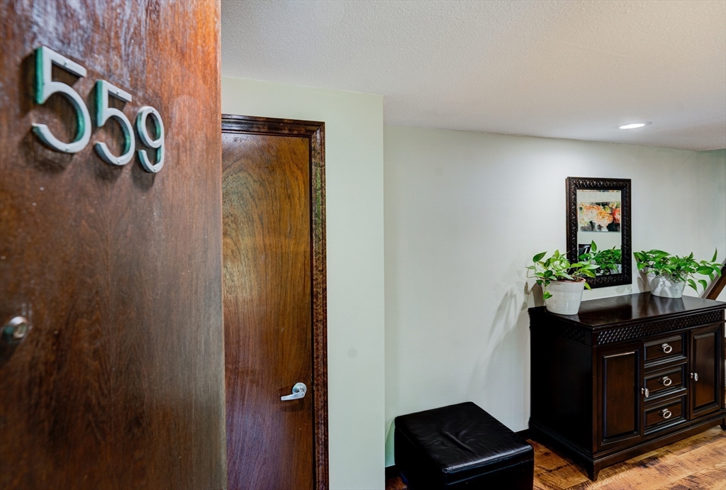 559 Great Elm Way 559