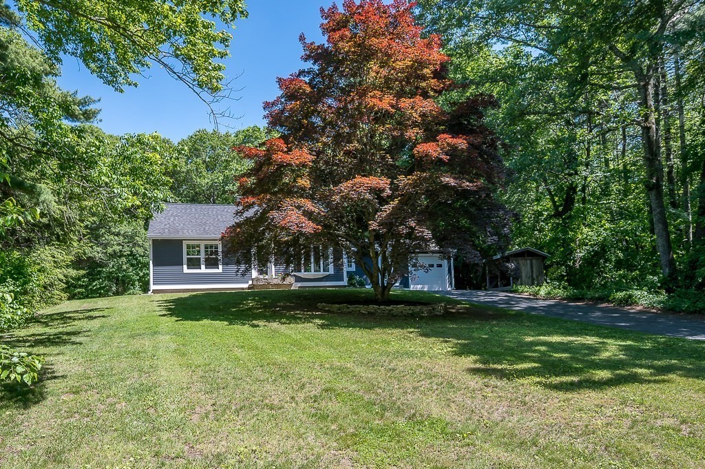 29 Carr St