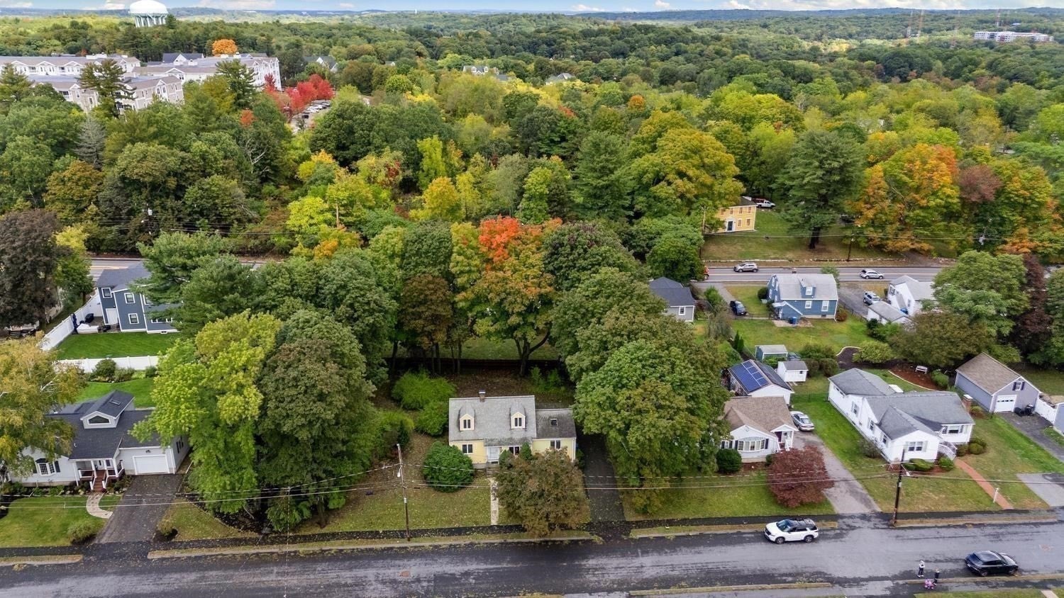 80 Temple Road, Waltham, MA Photo #39