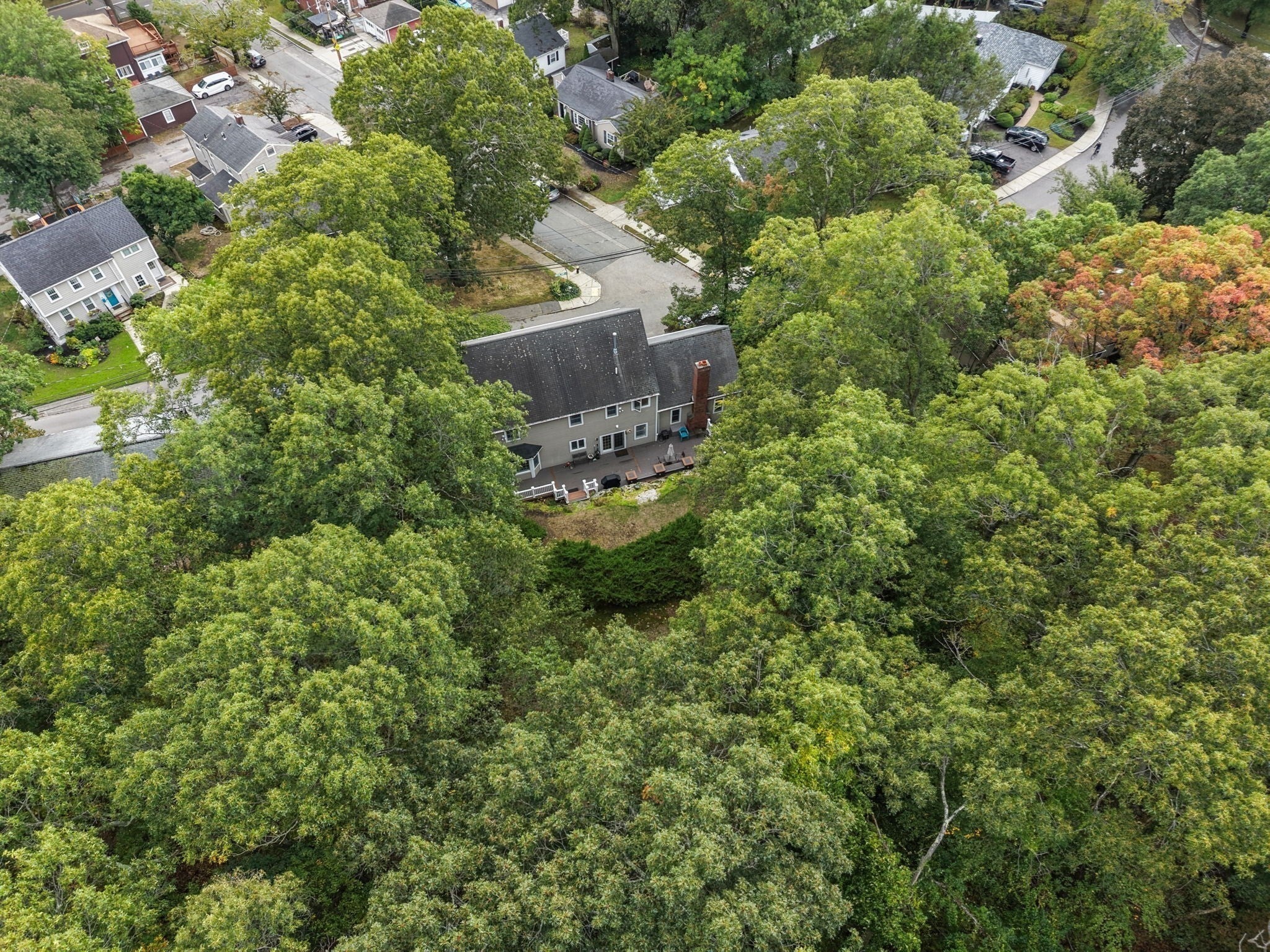 55 Brook Farm Rd, Boston, MA, 55 Brook Farm Rd, Boston, MA Photo #31