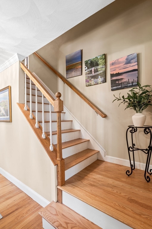 9 Sagamore Road