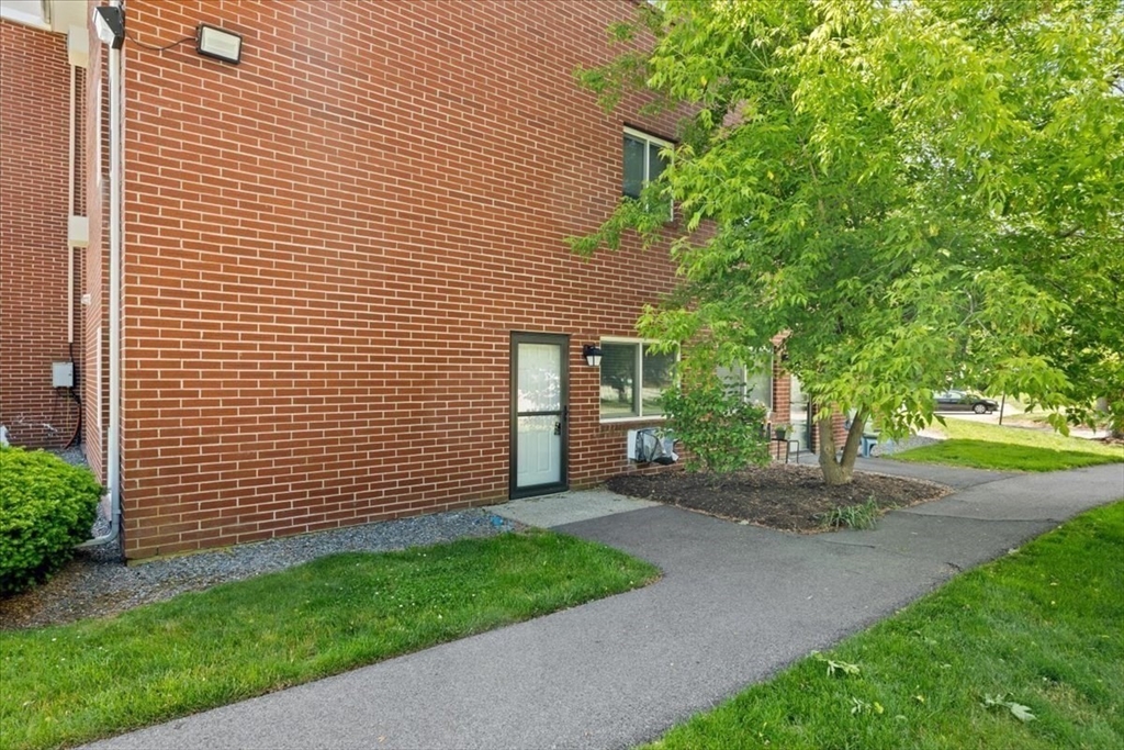 6 Dailey Street C