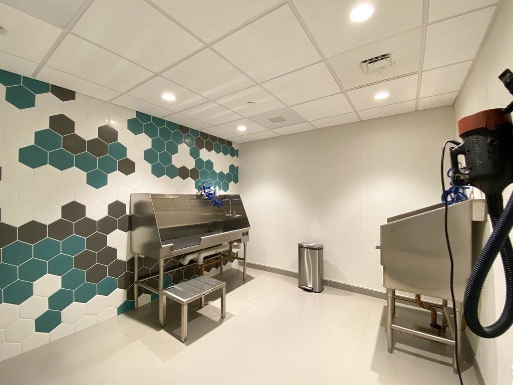 188 Brookline Ave #26H, Boston, MA, 188 Brookline Ave #26H, Boston, MA Photo #30